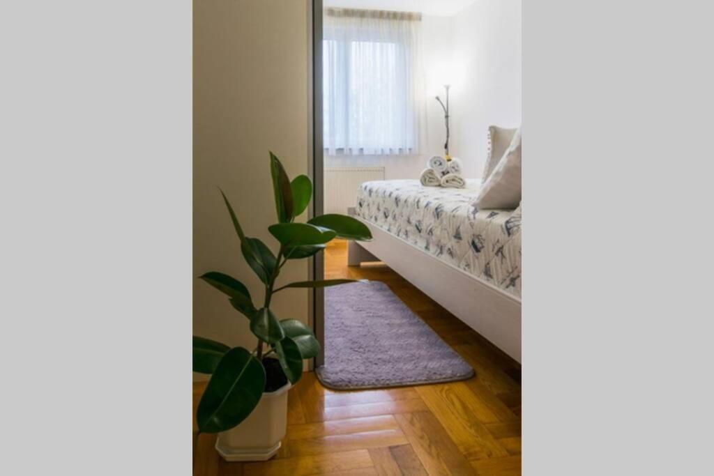 Apartment Jarun Brac Zagreb Dış mekan fotoğraf